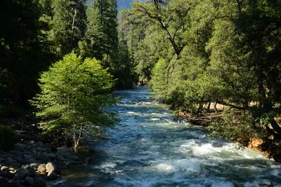 DSC_2410 (Large).JPG